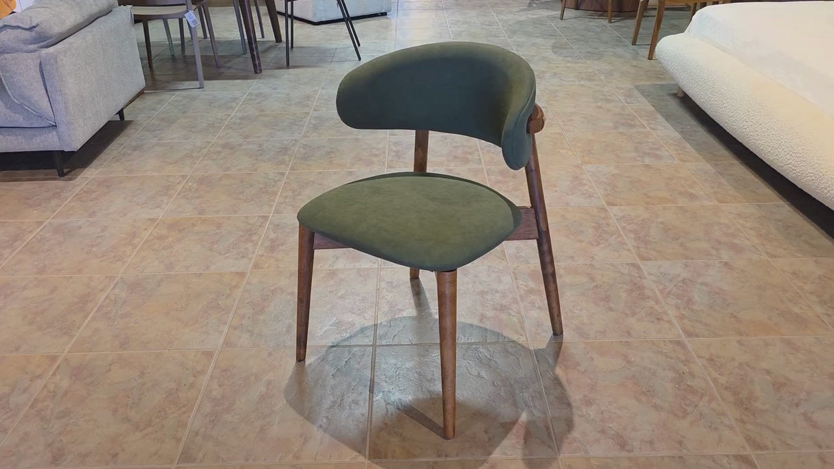 Blush Solid Wood Dining Chair - Smoked Oak and Moss Green