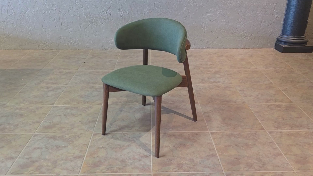Blush Solid Wood Dining Chair - Walnut and Moss Green